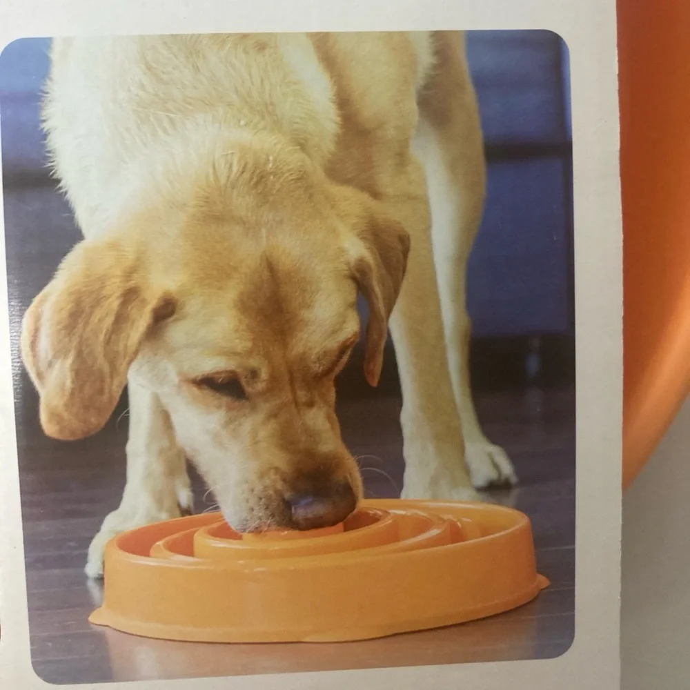 Slo Bowl Fun feeder for dogs Large veterinarian Recommended